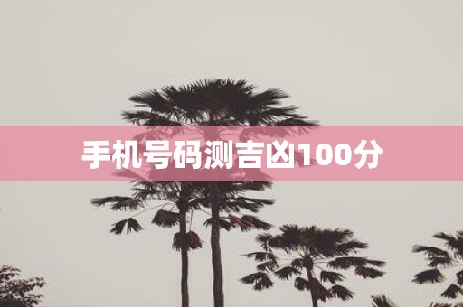 手机号码测吉凶100分