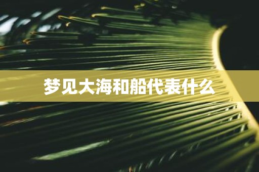 梦见大海和船代表什么