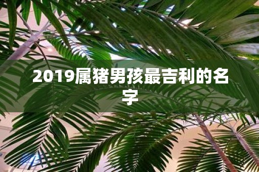 2019属猪男孩最吉利的名字