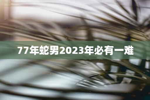 77年蛇男2023年必有一难