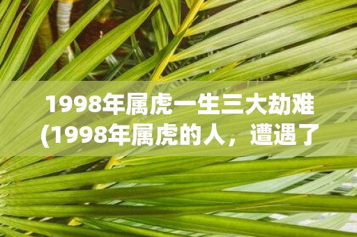 1998年属虎一生三大劫难(1998年属虎的人，遭遇了哪些三大劫难？)