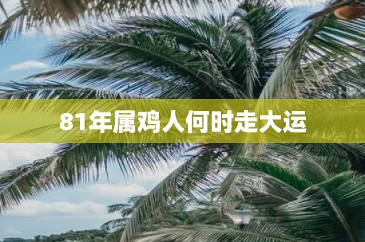 81年属鸡人何时走大运