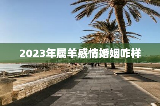 2025年属羊感情婚姻咋样