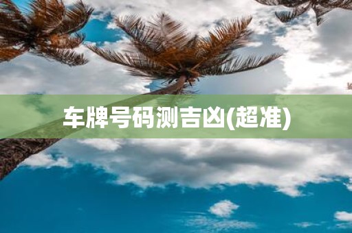 车牌号码测吉凶(超准)