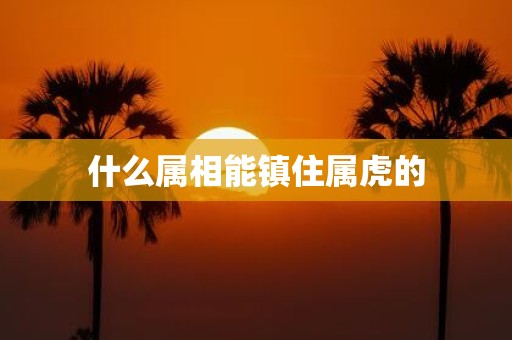 什么属相能镇住属虎的