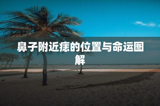 鼻子附近痣的位置与命运图解