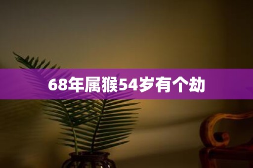 68年属猴54岁有个劫