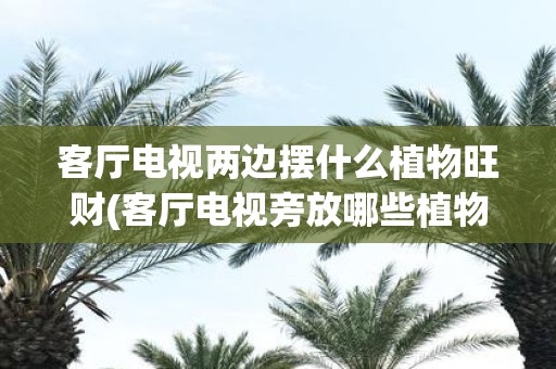 客厅电视两边摆什么植物旺财(客厅电视旁放哪些植物能带来好运？)