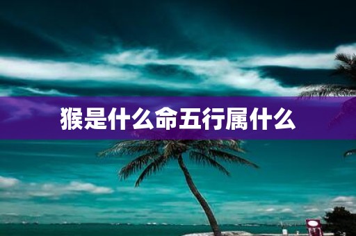 猴是什么命五行属什么