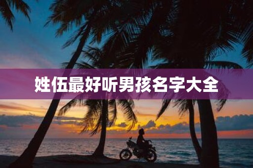 姓伍最好听男孩名字大全