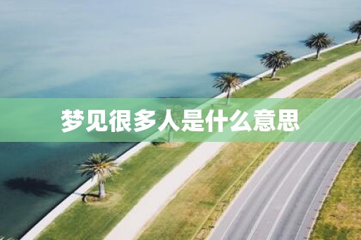 梦见很多人是什么意思