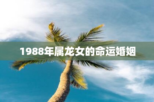 1988年属龙女的命运婚姻