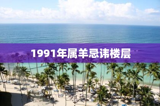 1991年属羊忌讳楼层