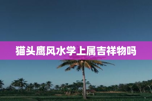 猫头鹰风水学上属吉祥物吗