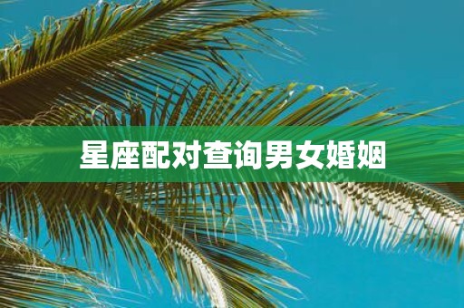 星座配对查询男女婚姻