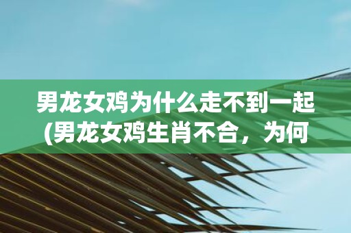 男龙女鸡为什么走不到一起(男龙女鸡生肖不合，为何相爱无望？)