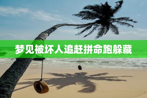 梦见被坏人追赶拼命跑躲藏