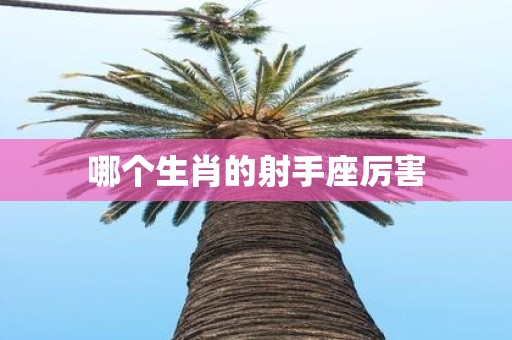 哪个生肖的射手座厉害