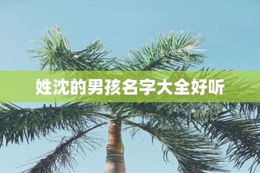 姓沈的男孩名字大全好听