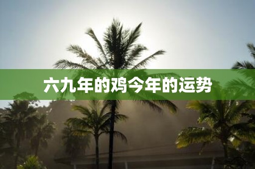 六九年的鸡今年的运势