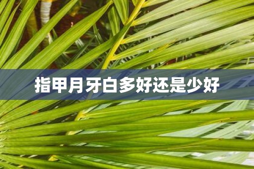 指甲月牙白多好还是少好
