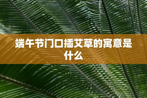 端午节门口插艾草的寓意是什么