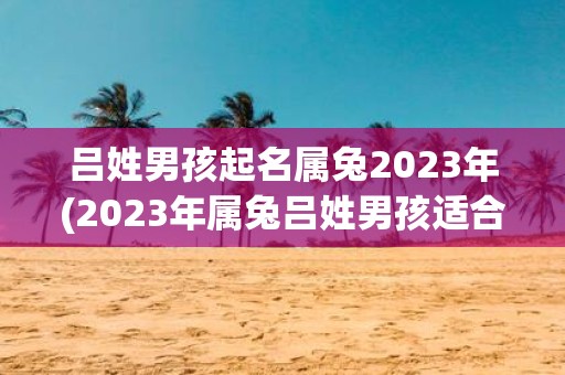 吕姓男孩起名属兔2023年(2023年属兔吕姓男孩适合起什么名字？)