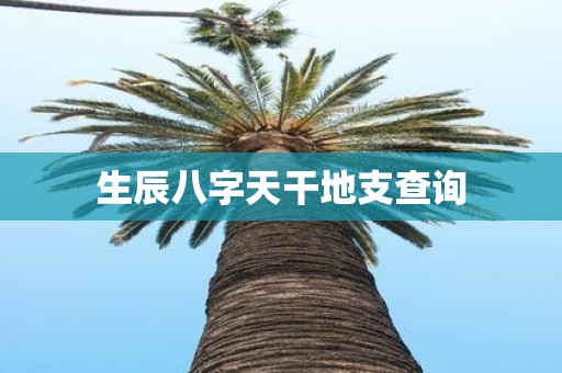 生辰八字天干地支查询