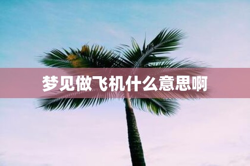 梦见做飞机什么意思啊