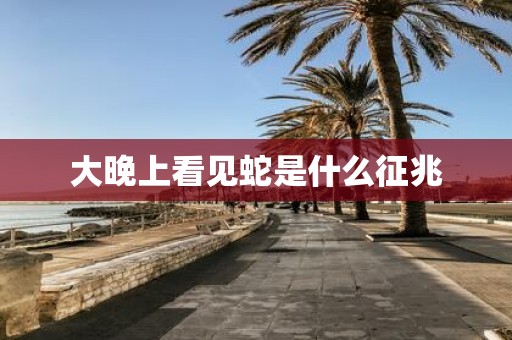 大晚上看见蛇是什么征兆