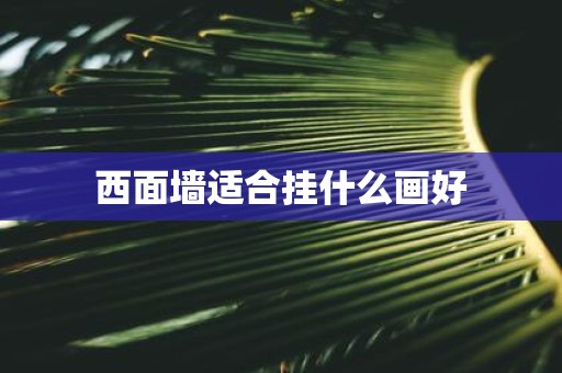西面墙适合挂什么画好