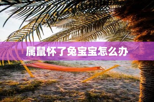 属鼠怀了兔宝宝怎么办