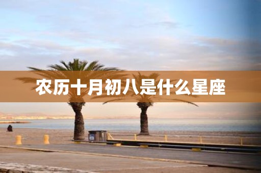 农历十月初八是什么星座