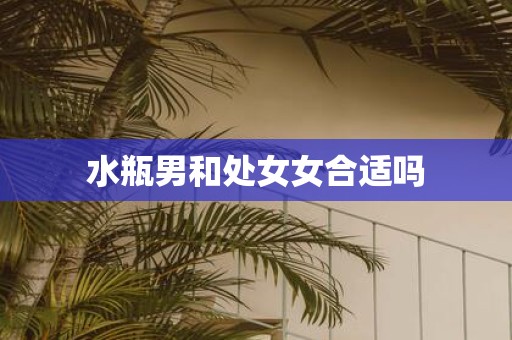 水瓶男和处女女合适吗