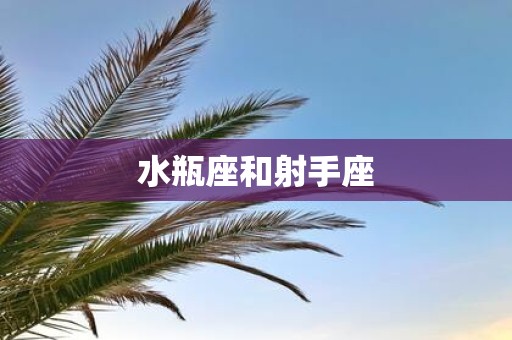 水瓶座和射手座