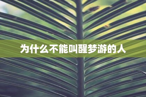 为什么不能叫醒梦游的人
