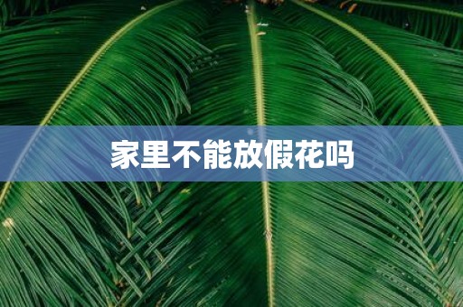 家里不能放假花吗