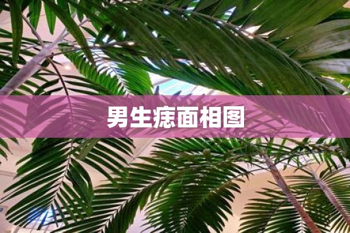 男生痣面相图