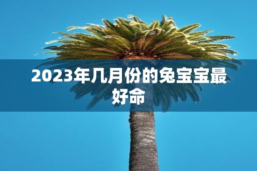 2025年几月份的兔宝宝最好命
