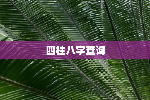 四柱八字查询