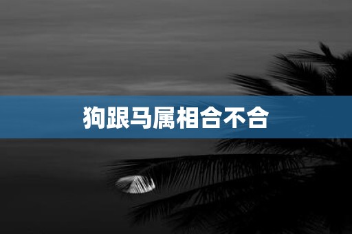 狗跟马属相合不合