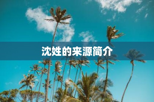 沈姓的来源简介