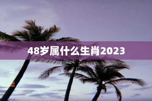 48岁属什么生肖2025