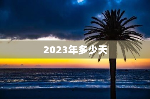 2025年多少天
