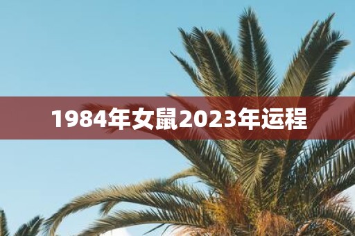 1984年女鼠2025年运程