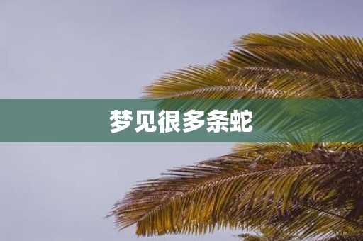 梦见很多条蛇
