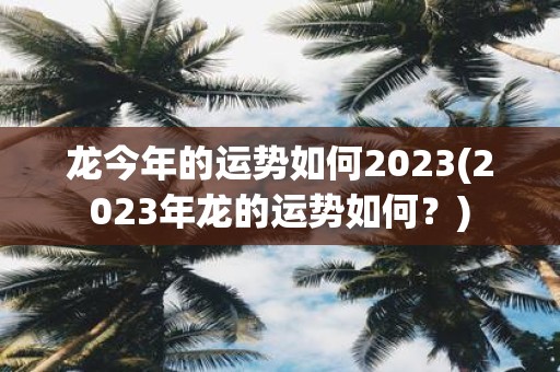 龙今年的运势如何2023(2023年龙的运势如何？)