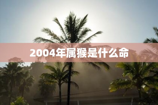 2004年属猴是什么命