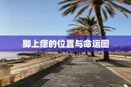 脚上痣的位置与命运图