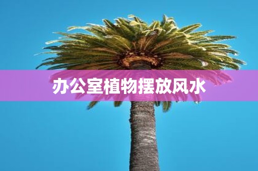 办公室植物摆放风水